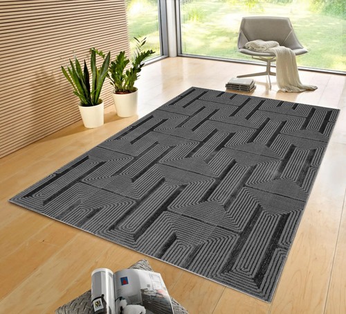 Large living room rugs - room, non