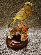 Country Artists Green Finch