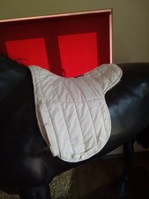 White Nuumed Griffin Hiwither