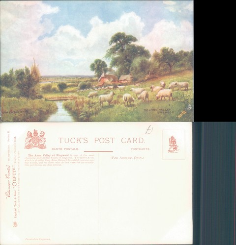 Avon valley ringwood with - avon, at