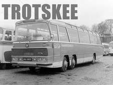 Larger Negative Shamrock &