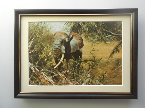 David shepherd print - shepherd,