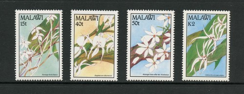 J123 malawi 1990 flora - 1990,