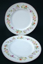 TWO Wedgwood Mirabelle R4537 Pattern Lg Size Dinner Plate 27.5cm - Look in VGC