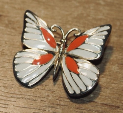 Sphinx enamel butterfly - sphinx,
