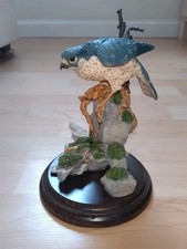 Country Artists Peregrine