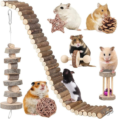Hamster accessories guinea - hamster,
