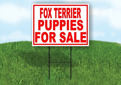 Fox terrier puppies for sale - terrier,