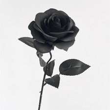  Black Artificial Rose Flowers