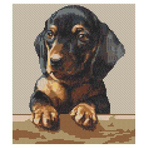 Dachshund puppy sausage dog - sausage,