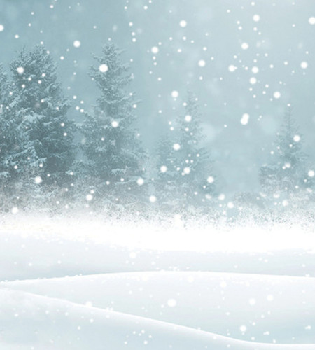 Fabric flair scenery - fabric, winter