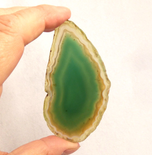 Banded green agate geode slice - green,