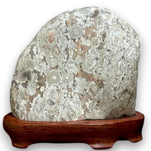 Suiseki flower stone viewing - stone,