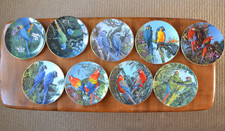 9 x Wedgwood Fragile Paradise Birds Plates Parrots 8" with COA