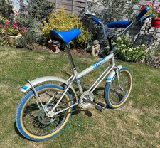 raleigh grifter