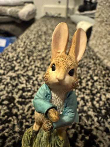 Scotland resin rabbit - co,