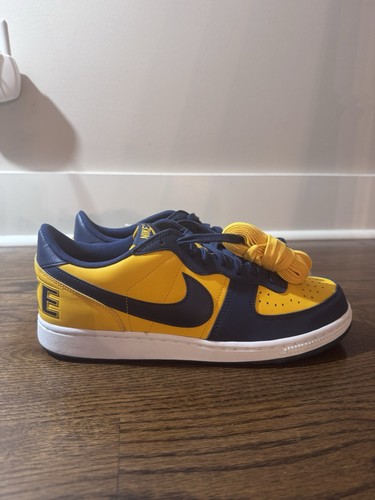 Nike terminator low michigan - nike,