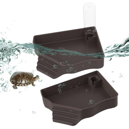 Tortoise water bowl - water,