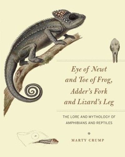 Eye newt and toe - of,
