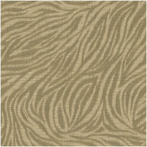 Zebra animal print wallpaper - zebra,
