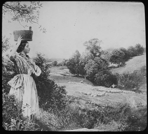 Glass magic lantern slide - slide, the
