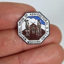 Vintage Silver & Enamel Badge