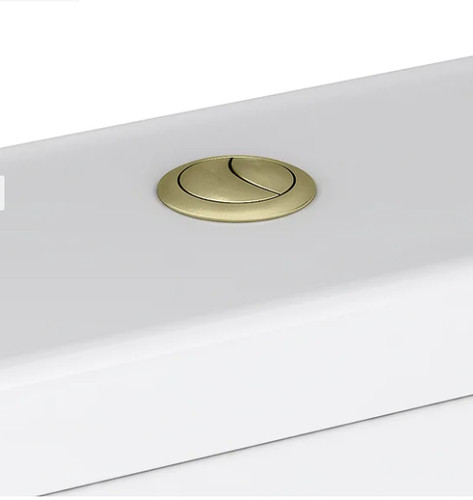 Brushed brass gold toilet - brass,