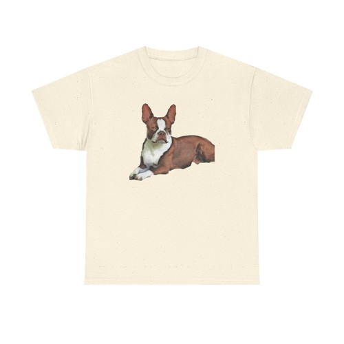 Boston terrier brown white - boston,