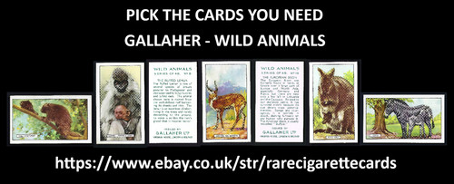 Gallaher wild animals - animals,