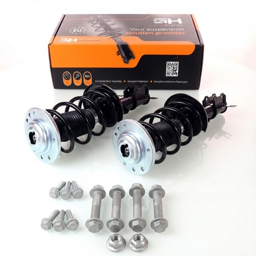 Gas complete struts - 2x,