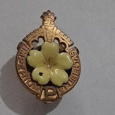 Vintage Primrose League ~