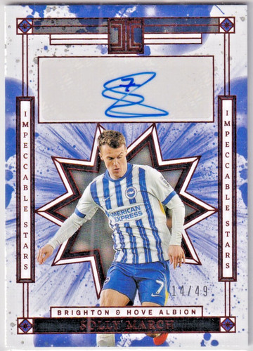 Panini impeccable epl 2024 - panini, 2024/25
