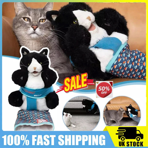 Fluffy cat puppet wrestler - fluffy,