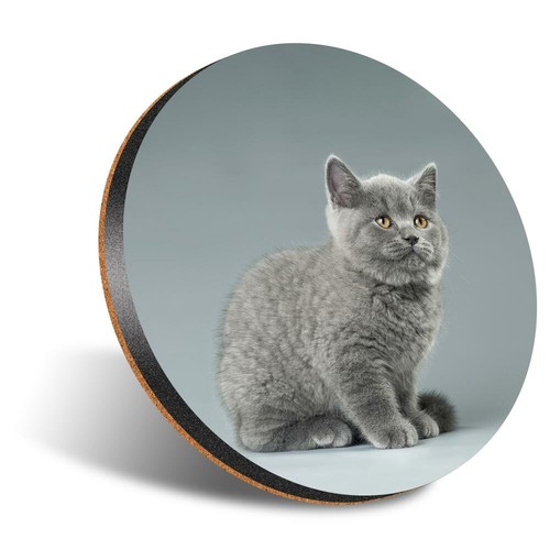 Round 12cm coaster - 12cm, blue