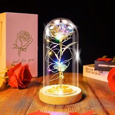 Preserved Flower Rose in Glass