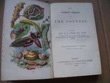 COMMON OBJECTS OF THE COUNTRY