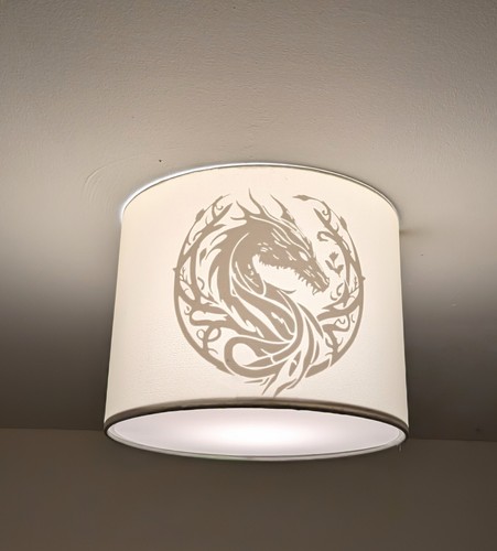 Dungeon and dragons shadow - dragons,