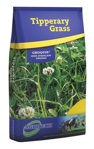 Tipperary grass horse quality - horse,