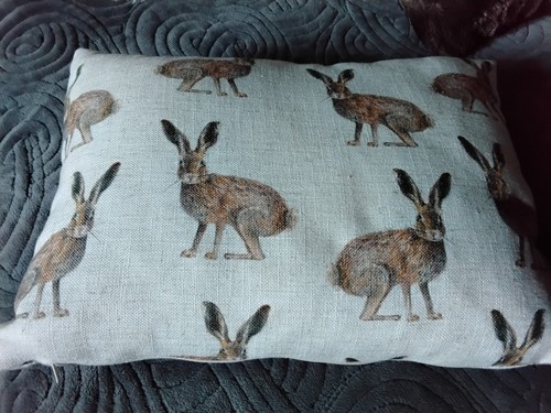 Rabbit hare cushion cover - hare,