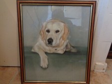 high quality pastel portrait of a labrador, 13 1/4" x 15 3/4", signed H Jones