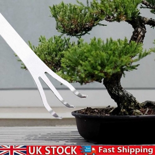 Bonsai tools prong stainless - bonsai,