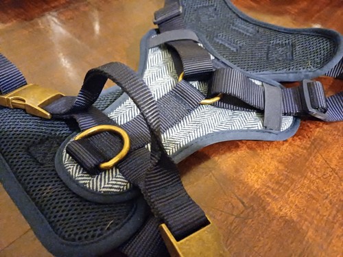 Wainwrights dog harness - harness, blue