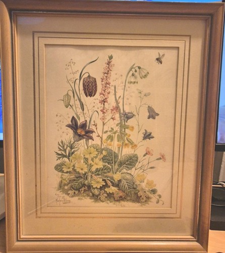 Ltd edn framed signed - framed,,