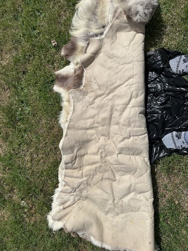 Natural reindeer hide rug - reindeer,