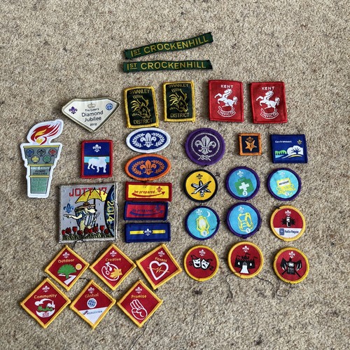 Scout badges over 30 - scout,