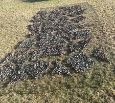 Genuine British Army