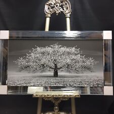 Stunning silver blossom tree