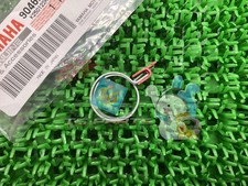 MT-09 Thermostat Hose Clip. In