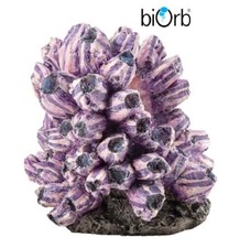 Biorb Barnacle Cluster