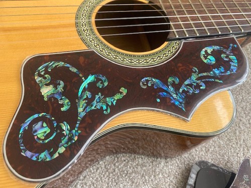 Acoustic guitar deluxe - 1x,